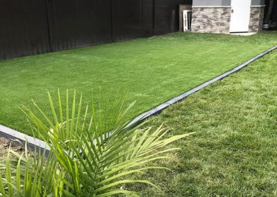 Backyard artificial grass